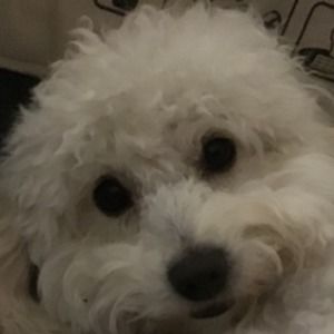 Meet your Posher, Rubyna